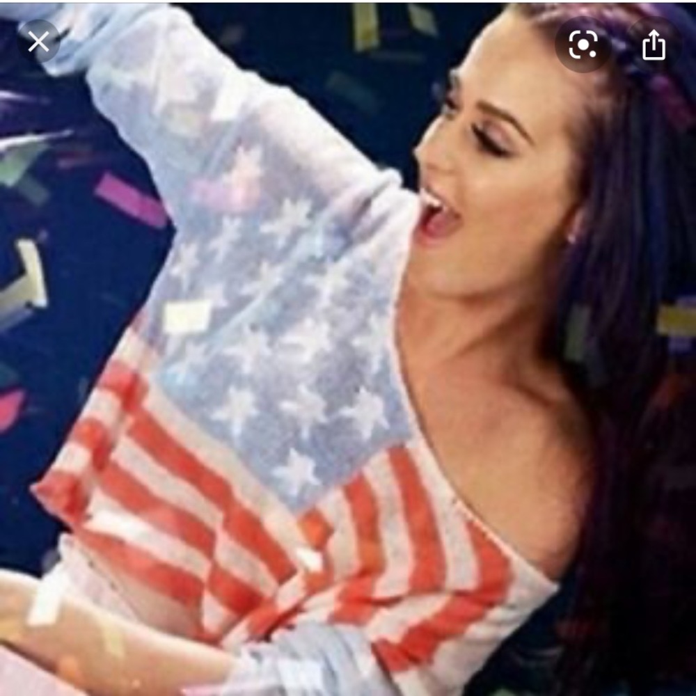 Wildfox American flag cropped L